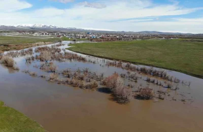 Kars Çayı taştı: Ağaçlar sular altında kaldı