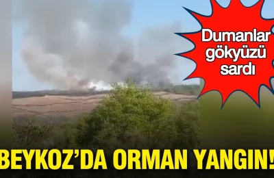 Bir kıvılcım yetti