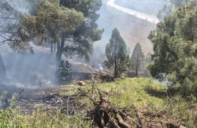 Dursun Fakıh Türbesi civarındaki yangın korkuttu