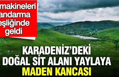 Karadeniz’deki doğal SİT alanı yaylaya maden kancası: İş makineleri jandarma eşliğinde geldi